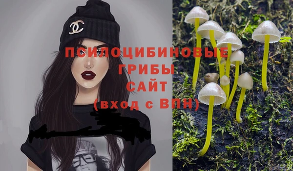 сатива Алексеевка