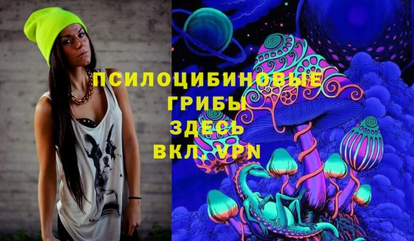 Альфа ПВП Алзамай