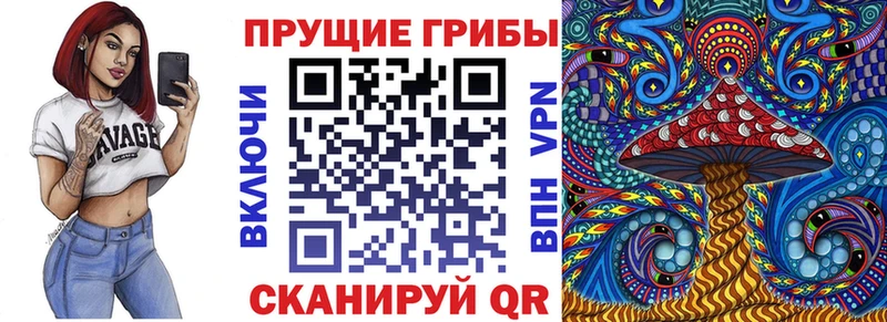 Галлюциногенные грибы Cubensis  сколько стоит  Ейск 